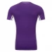 Maillot de Foot ACF Fiorentina Tenue Domicile 2025/26