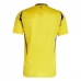 Maillot de Foot Al Nassr FC Tenue Domicile 2024/25
