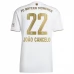 Maillot de Foot Bayern Munich Joao Cancelo 22 Tenue Extérieur 2022/23