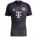 Maillot de Foot Bayern Munich Davies 19 Tenue Extérieur 2023/24