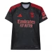 Maillot de Foot Benfica Lisbonne Tenue Extérieur 2024/25