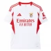 Maillot de Foot Benfica Lisbonne Tenue Third 2025/26