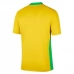 Maillot de Foot Brésil Tenue Domicile 2025