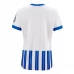 Maillot de Foot Brighton Hove Albion Femme Tenue Domicile 2024/25