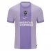 Maillot de Foot Brighton Hove Albion Tenue Extérieur 2025/26