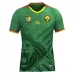 Maillot de Foot Cameroun Tenue Domicile 2025/26