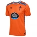 Maillot de Foot Celta de Vigo Tenue Third 2024/25