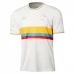 Maillot de Foot Colombie Tenue Domicile 100th Anniversary 2025