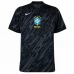 Maillot de Foot Copa América 2024 Brésil Gardien Tenue Extérieur