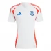 Maillot de Foot Copa América 2024 Chili Tenue Extérieur