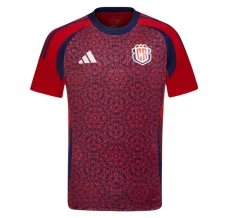Maillot de Foot Copa América 2024 Costa Rica Tenue Domicile