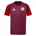 Maillot de Foot Copa América 2024 Costa Rica Tenue Domicile