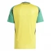 Maillot de Foot Copa América 2024 Jamaïque Tenue Domicile