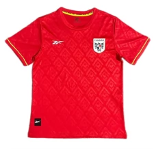 Maillot de Foot Copa América 2024 Panama Tenue Domicile