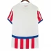 Maillot de Foot Copa América 2024 Paraguay Tenue Domicile