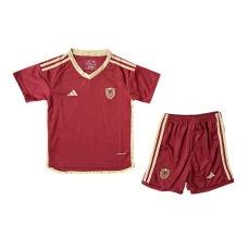 Maillot de Foot Copa América 2024 Venezuela Enfant Tenue Domicile