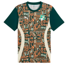 Maillot de Foot Côte d'Ivoire Tenue Domicile Pre-Match 2025