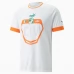 Maillot de Foot Côte d'Ivoire Tenue Extérieur 2022