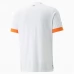 Maillot de Foot Côte d'Ivoire Tenue Extérieur 2022