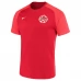 Maillot de Foot Coupe du monde 2022 Canada Tenue Domicile