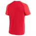 Maillot de Foot Coupe du monde 2022 Canada Tenue Domicile