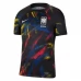 Maillot de Foot Coupe du monde 2022 Corée du Sud Tenue Extérieur