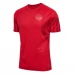 Maillot de Foot Coupe du monde 2022 Danemark Tenue Domicile