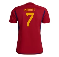 Maillot de Foot Coupe du monde 2022 Espagne Morata 7 Tenue Domicile