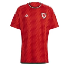 Maillot de Foot Coupe du monde 2022 Pays de Galles Tenue Domicile