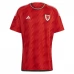 Maillot de Foot Coupe du monde 2022 Pays de Galles Tenue Domicile
