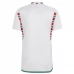 Maillot de Foot Coupe du monde 2022 Pays de Galles Tenue Extérieur