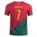 Maillot de Foot Coupe du monde 2022 Portugal Ronaldo 7 Tenue Domicile