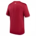 Maillot de Foot Coupe du monde 2022 Qatar Tenue Domicile