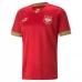 Maillot de Foot Coupe du monde 2022 Serbie Tenue Domicile