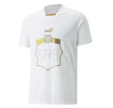 Maillot de Foot Coupe du monde 2022 Serbie Tenue Extérieur