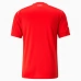 Maillot de Foot Coupe du monde 2022 Suisse Tenue Domicile