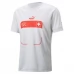 Maillot de Foot Coupe du monde 2022 Suisse Tenue Extérieur