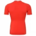 Maillot de Foot Coupe du monde 2022 Tunisie Tenue Domicile