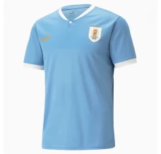 Maillot de Foot Coupe du monde 2022 Uruguay Tenue Domicile