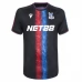 Maillot de Foot Crystal Palace Tenue Third 2024/25