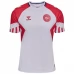 Maillot de Foot Danemark Tenue Extérieur 2023