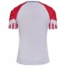 Maillot de Foot Danemark Tenue Extérieur 2023