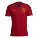 Maillot de Foot Espagne Tenue Domicile 2022