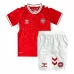 Maillot de Foot Euro 2024 Danemark Enfant Tenue Domicile