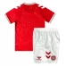 Maillot de Foot Euro 2024 Danemark Enfant Tenue Domicile
