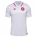 Maillot de Foot Euro 2024 Danemark Tenue Extérieur