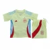 Maillot de Foot Euro 2024 Espagne Enfant Tenue Extérieur Maillot de Foot Euro 2024 Espagne Enfant Tenue Extérieur