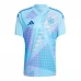 Maillot de Foot Euro 2024 Espagne Gardien Tenue Domicile