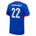 Maillot de Foot Euro 2024 France T.Hernandez 22 Tenue Domicile