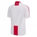 Maillot de Foot Euro 2024 Géorgie Tenue Domicile